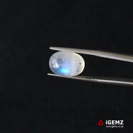 8.78 ct Blue Moonstone - iGemz21260