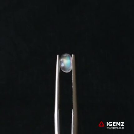 0.7 ct Blue Moonstone - iGemz21266
