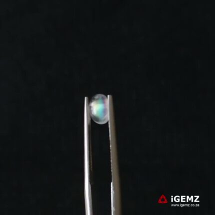 0.7 ct Blue Moonstone - iGemz21266