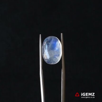5.95 ct Blue Moonstone - iGemz21268