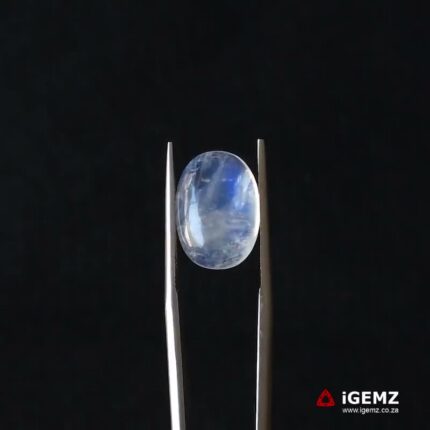 5.95 ct Blue Moonstone - iGemz21268
