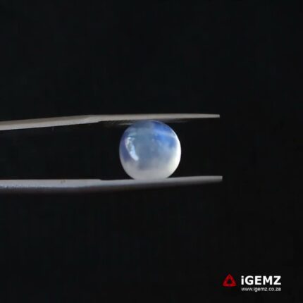 3.48 ct Blue Moonstone - iGemz21272