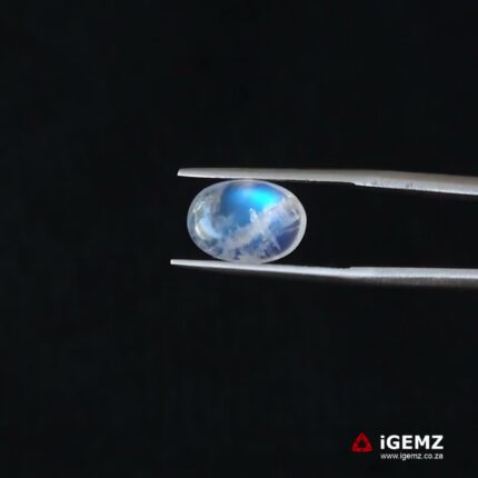 2.93 ct Blue Moonstone - iGemz21274