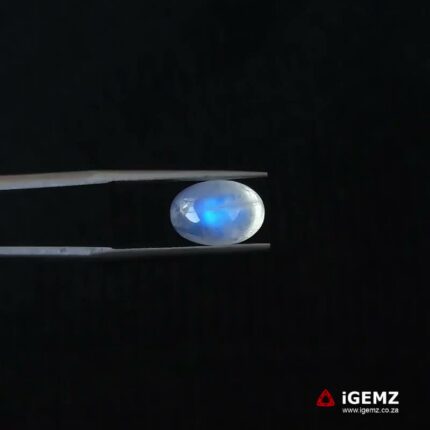 3.59 ct Blue Moonstone - iGemz21277