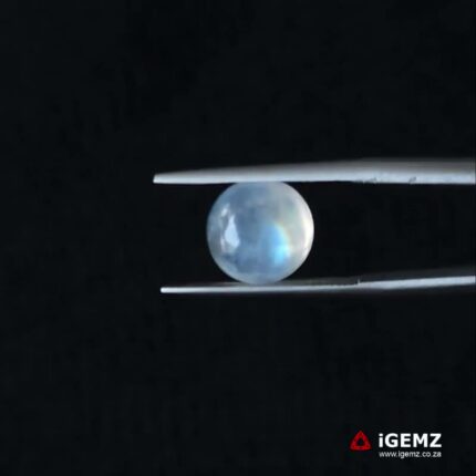 4.09 ct Rainbow Moonstone - iGemz21282