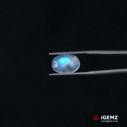 4.47 ct Blue Moonstone - iGemz21288