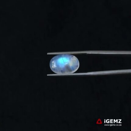 4.47 ct Blue Moonstone - iGemz21288