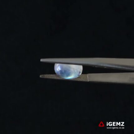 3.21 ct Blue Moonstone - iGemz21293