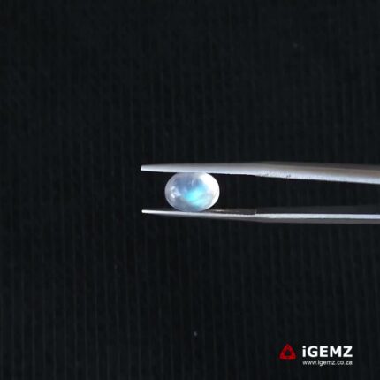 2.07 ct Rainbow Moonstone - iGemz21296