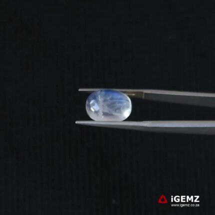 4.72 ct Blue Moonstone - iGemz21297