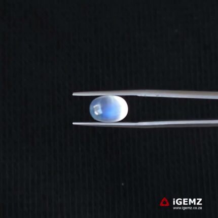 3.52 ct Blue Moonstone - iGemz21300