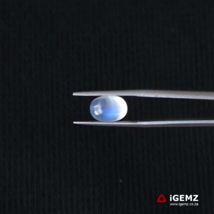 3.52 ct Blue Moonstone - iGemz21300
