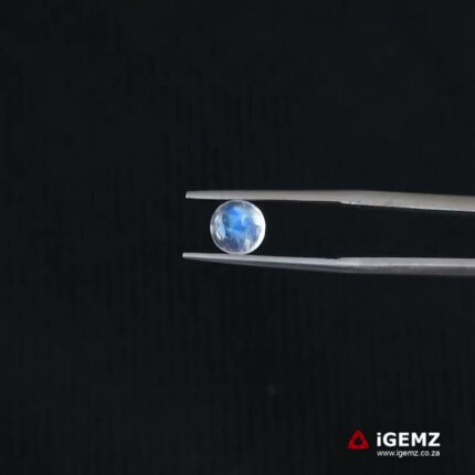 0.97 ct Blue Moonstone - iGemz21302