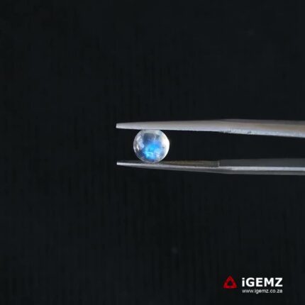 0.97 ct Blue Moonstone - iGemz21302