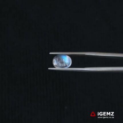 1.58 ct Blue Moonstone - iGemz21303