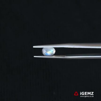 0.99 ct Rainbow Moonstone - iGemz21305