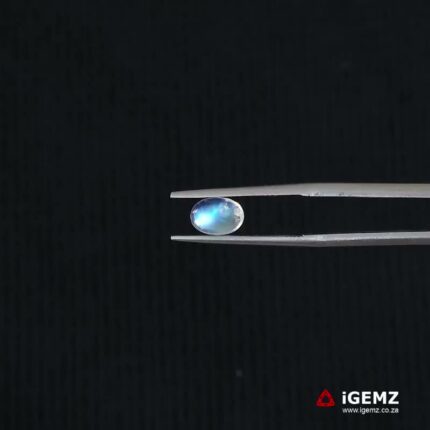 0.81 ct Blue Moonstone - iGemz21306