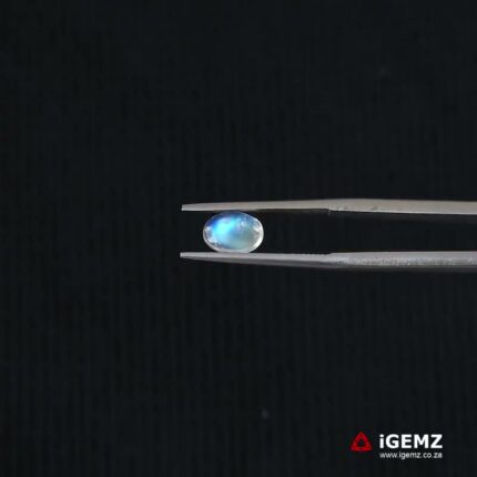 0.81 ct Blue Moonstone - iGemz21306