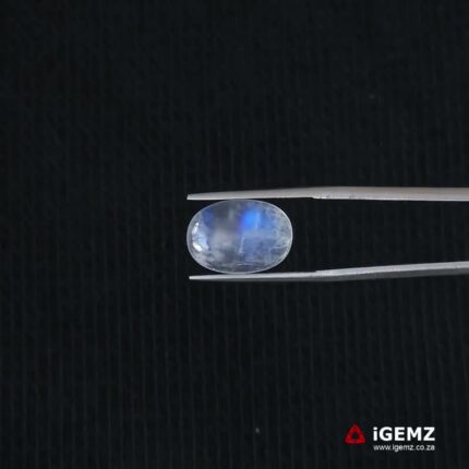 5.82 ct Blue Moonstone - iGemz21307