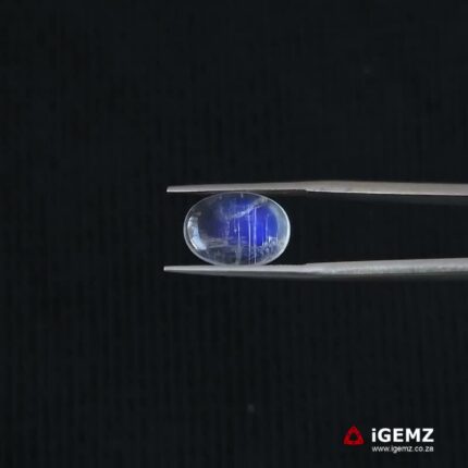 3.65 ct Blue Moonstone - iGemz21308