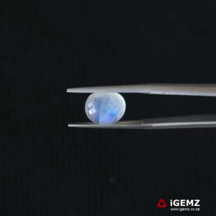 3.9 ct Blue Moonstone - iGemz21309