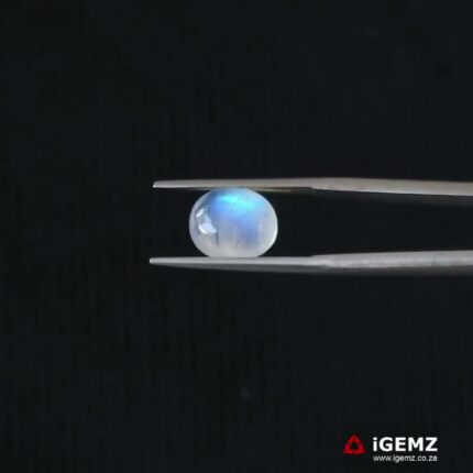 3.9 ct Blue Moonstone - iGemz21309