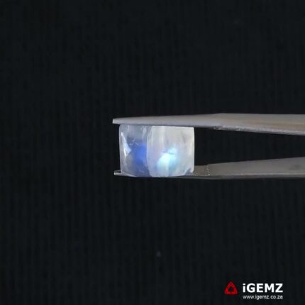 9.16 ct Blue Moonstone - iGemz21314