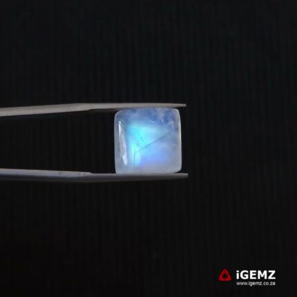 8.53 ct Blue Moonstone - iGemz21317