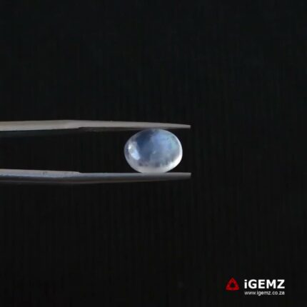 2.2 ct Blue Moonstone - iGemz21320