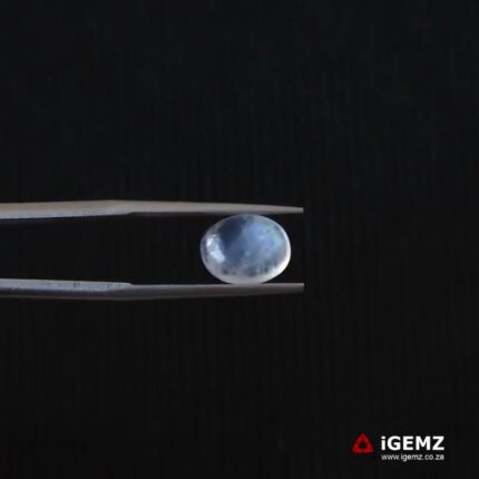 2.2 ct Blue Moonstone - iGemz21320