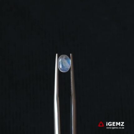 0.99 ct Blue Moonstone - iGemz21321