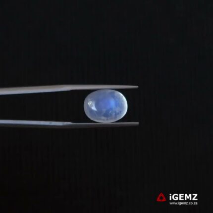 5.71 ct Blue Moonstone - iGemz21326