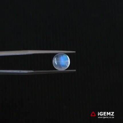 1.65 ct Blue Moonstone - iGemz21327