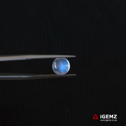 1.65 ct Blue Moonstone - iGemz21327