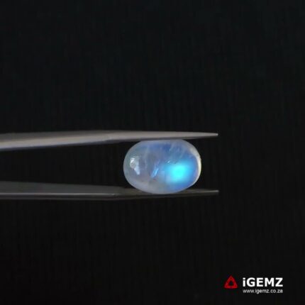 8.36 ct Blue Moonstone - iGemz21331