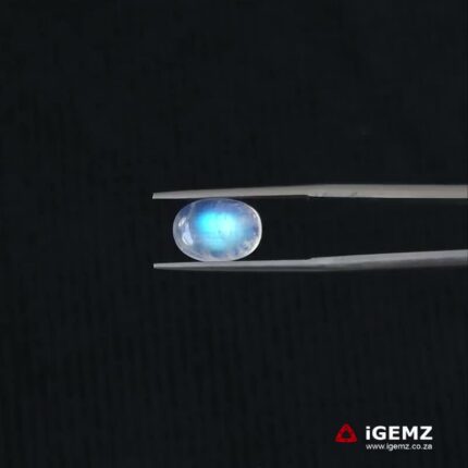 2.69 ct Blue Moonstone - iGemz21342