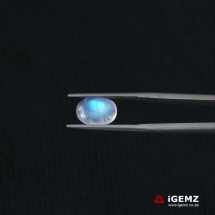 2.69 ct Blue Moonstone - iGemz21342