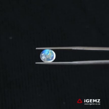 1.66 ct Blue Moonstone - iGemz21343