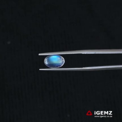 1.13 ct Blue Moonstone - iGemz21344