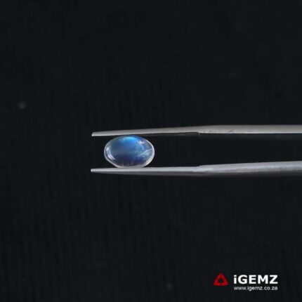 1.13 ct Blue Moonstone - iGemz21344