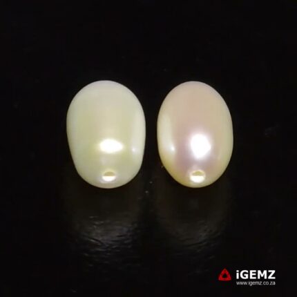 7.48 ct Fresh Water Half Drilled Pearl - iGemz22777
