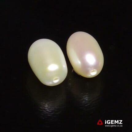 7.48 ct Fresh Water Half Drilled Pearl - iGemz22777
