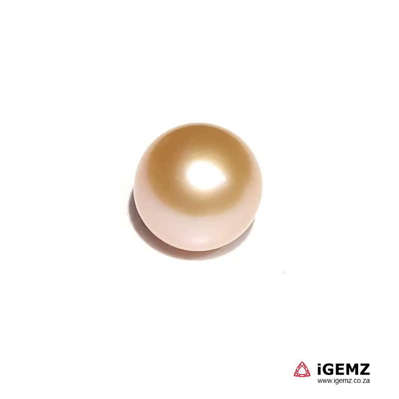 iGemz22818.1 4.45 ct Fresh Water Pearl - iGemz22818