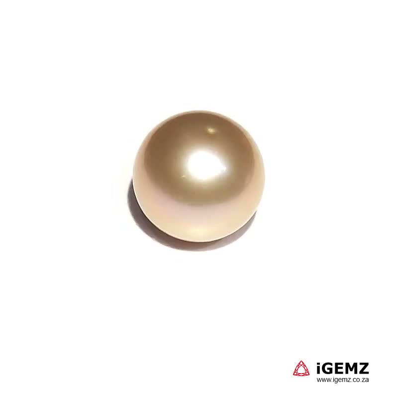 iGemz22847.1 11.04 ct Oceania Pearl - iGemz22847