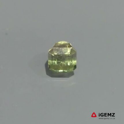 1.51 ct Bi-Colour Tourmaline - iGemz22866