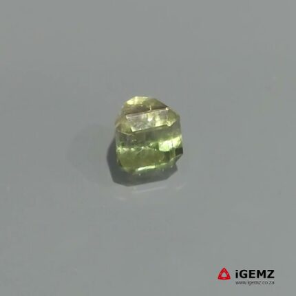 1.51 ct Bi-Colour Tourmaline - iGemz22866