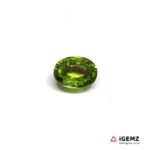 1.28 ct Green Tourmaline - iGemz22899