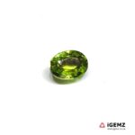 1.28 ct Green Tourmaline - iGemz22899