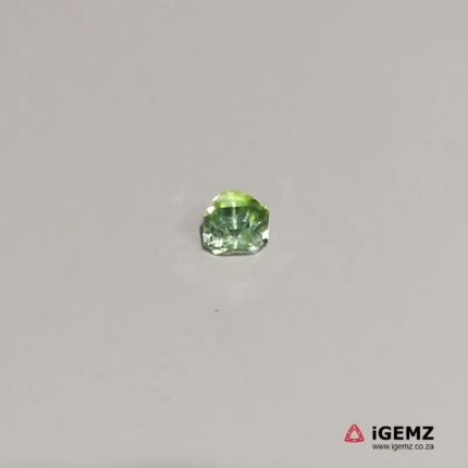0.87 ct Green Tourmaline - iGemz20713