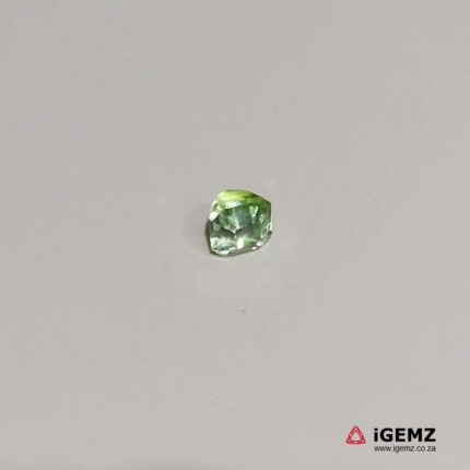 0.87 ct Green Tourmaline - iGemz20713